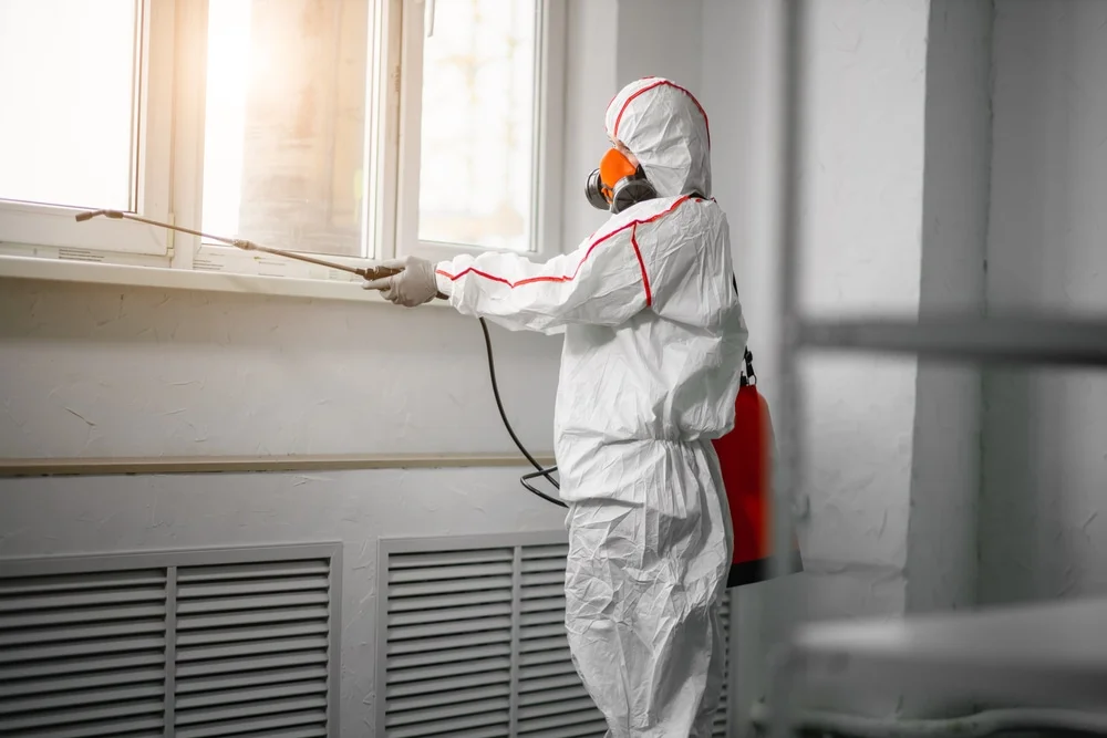 Professional mold remediation services in Sharon Center, OH